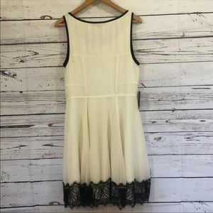 Cream & Black Lace Dress